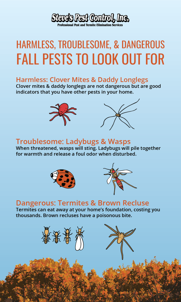 Harmless, troublesome & dangerous fall pests to look out for

harmless: clover mites & daddy longlegs
clover mites & daddy longlegs are not dangerous but are good indicators that you have other pests in your home

troublesome: ladybugs & wasps
when threatened, wasps will sting. ladybugs will pile together for warmth and release a foul odor when disturbed

Dangerous: termites & brown recluse
termites can eat away at your home's foundation, costing you thousands. Brown recluses have a poisonous bite