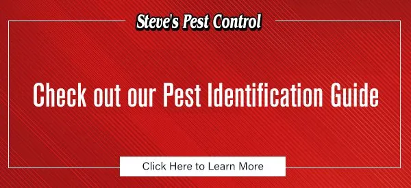 steve cta2+ +pest+id+guide 1920w