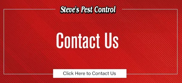 contact us, steve's pest control, click here to contact us