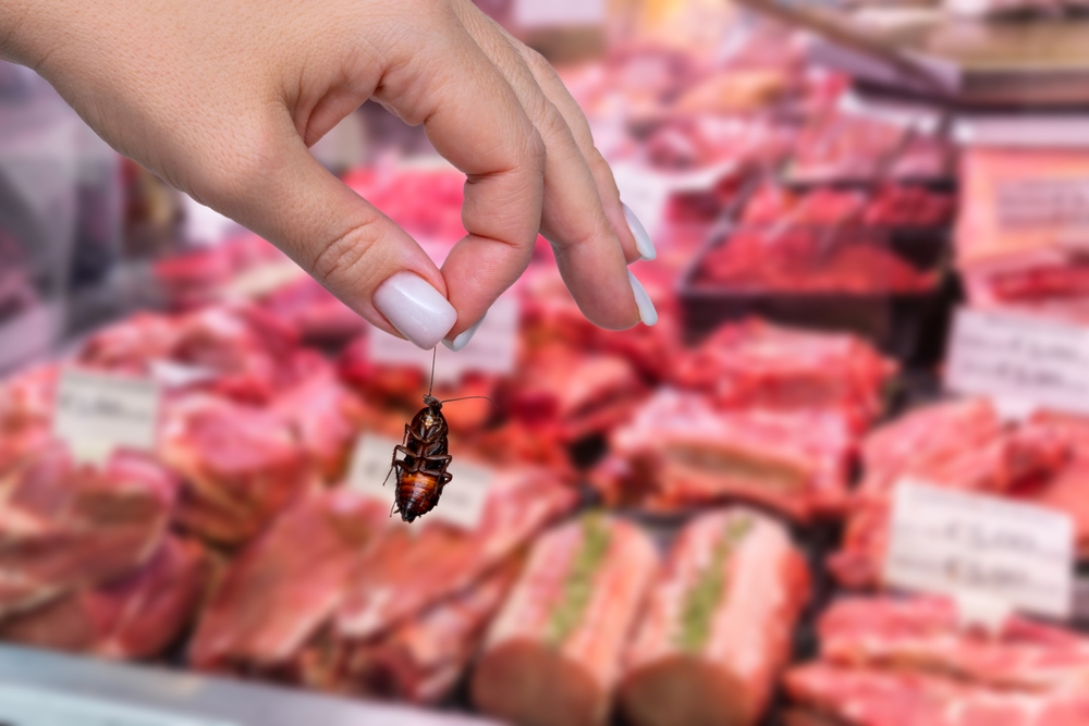 hand,holding,dead,cockroach,in,meat,department,inside,grocery,market