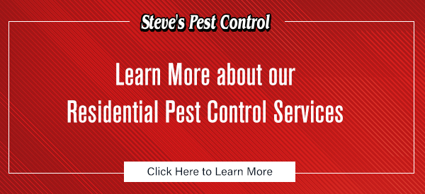 learn more about our residential pest control services, steve's pest control, click here to learn more