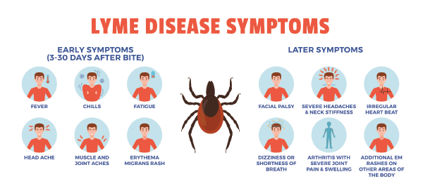 lym disease