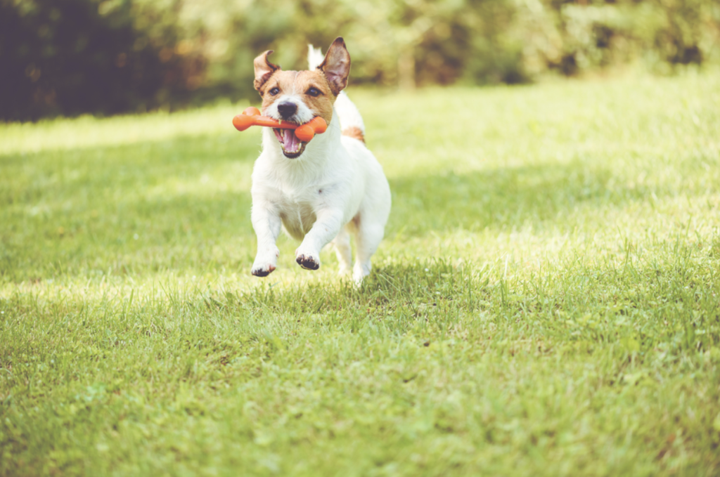 screenshot 2025 10 31 at 10.36.26 am