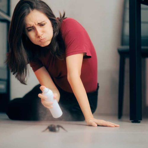 A woman is kneeling on the floor spraying a spider with a spray bottle.